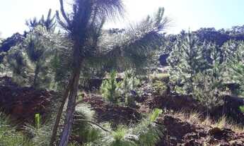 Imagem 4: Áreas na Praia de Fora, Para Casa, Chácara ou Sítio Próximo do Mar