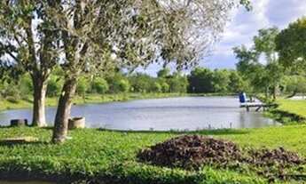 Imagem 4: Pesque pague à venda Oportunidade ramo piscicultura