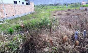 Imagem 4: Terreno para Venda em Itajaí, Ilhota