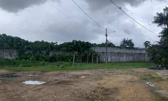 Imagem 2: Terreno Amazon Garden