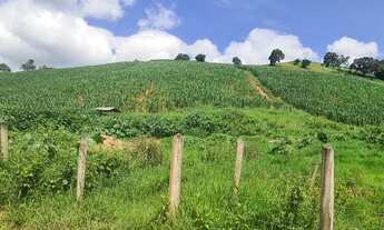 Imagem 4: TERRENO COM 8 ALQUEIRES DE TERRA COM NASCENTE OTIMA LOCALIZAÇÃO