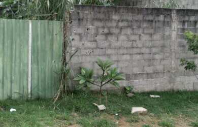 Imagem 3: Terreno Manguinhos. Escriturado. Plano. Pode financiar. 300m2