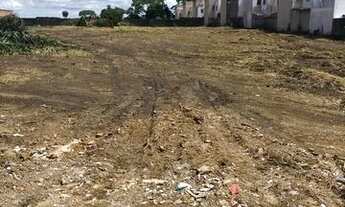 Imagem 3: Alugo terreno 50x100 beira pista santa amelia