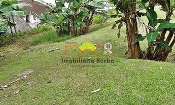 Imagem 3: Joinville - Terreno Padrão - Petrópolis