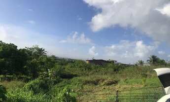 Imagem 3: Vendo Terreno em Tiuma/ São Lourenço da Mata