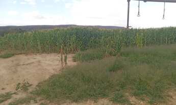 Imagem 5: OPORTUNIDADE <br>Fazenda de 497 hectares no Município de Pirapora MG