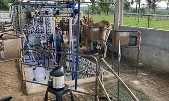 Imagem 3: Fazenda em Guaraí