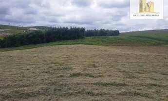 Imagem 6: Terreno à venda, 3000 m² por R$ 181.000 - São João da Boa Vista - Caçapava/SP