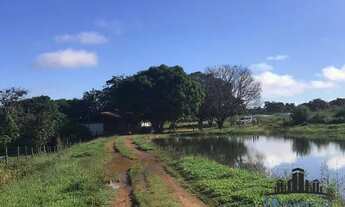 Imagem 6: FAZENDA EM ARAGOIANIA COM 32 ALQUEIRES