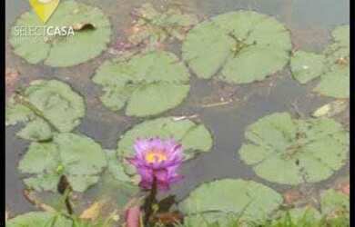 Imagem 6: Terreno à venda, 3500 m² por R$ 960.000,00 - Domingos Martins - Domingos Martins/ES