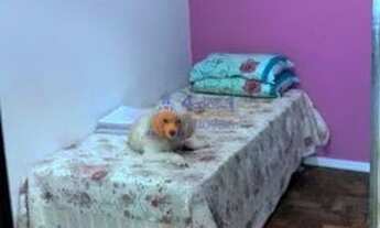 Imagem 7: Casa a venda em Rio de Janeiro