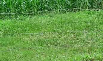 Imagem 2: Vender Terreno / lote com venda por R$130.000