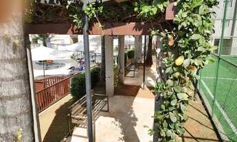 Imagem 4: Top life long Beach (Aluguel