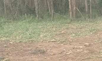 Imagem 3: Terreno com documentação ok