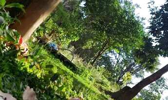 Imagem 2: Casa e barracão