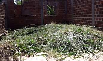 Imagem 7: Torro Terreno cataratas