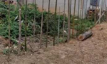 Imagem 3: Vende-se terreno