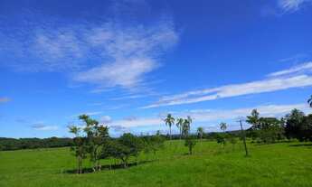 Imagem 7: Fazenda 25 alqueires Plana ( Willian Ricardo