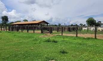 Imagem 4: Fazenda à venda, 4 quartos, Zona Rural - Cocalinho/MT