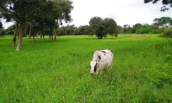 Imagem 4: Fazenda à beira do Rio Javaés