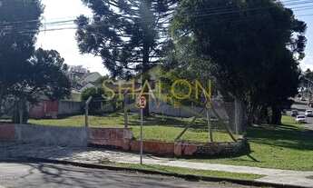 Imagem 7: Terreno Comercial / Alto da Rua XV