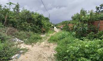 Imagem 7: Terreno no Miritiua