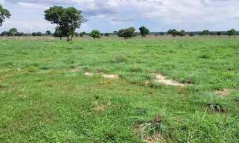 Imagem 6: Fazenda à venda, 4 quartos, Zona Rural - Cocalinho/MT