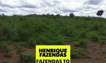Imagem 6: Fazenda região de Novo Acordo 127 alqueires