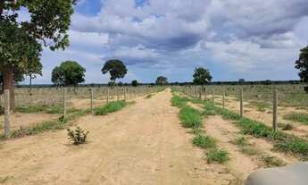 Imagem 2: Fazenda à venda, 4 quartos, Zona Rural - Cocalinho/MT