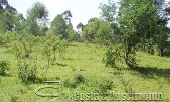 Imagem 4: SãO BERNARDO DO CAMPO - Terreno Padrão - Cooperativa