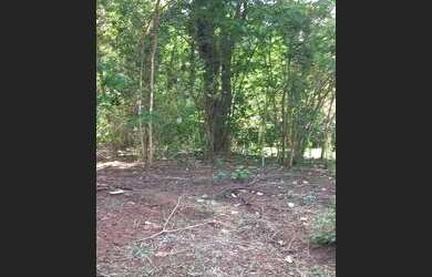 Imagem 3: Chácara em Bonfinópolis