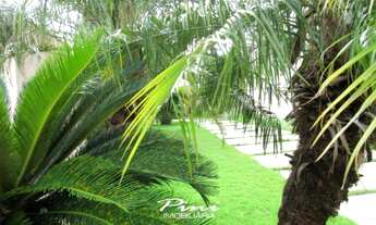 Imagem 3: Casa 2 quartos no centro