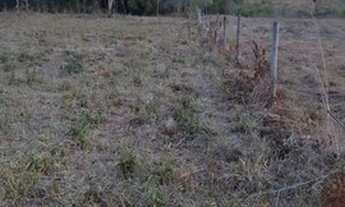 Imagem 4: Vende-se EXELENTES chácaras neste local