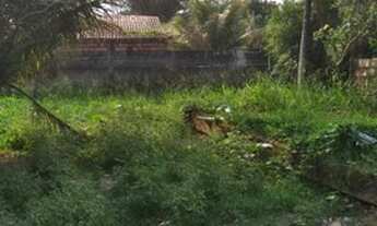 Imagem 5: Terreno com 450 metros quadrados no vale feliz plano