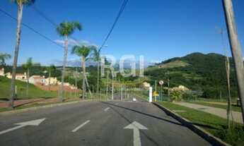 Imagem 3: PORTO ALEGRE - Terreno Padrão - Alphaville