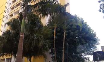 Imagem 5: Apartamento para aluguel com 55 metros quadrados com 2 quartos em Continental - Osasco - S