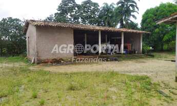 Imagem 5: Fazenda no Pará - São Francisco do Pará