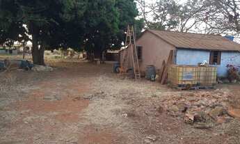 Imagem 5: Chácara no Cariru Planaltina DF 7 hectares 395.000,00