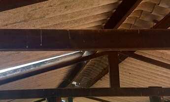 Imagem 2: Oportunidade! Vende-se uma excelente fazenda de 110 Alqueires