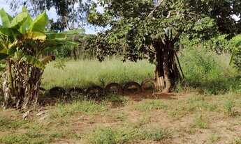 Imagem 7: Chácara em Planaltina de Góis 4 mil metros, 79 Mil