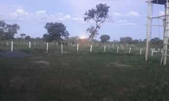 Imagem: Oportunidade! Vende-se uma fazenda de 430