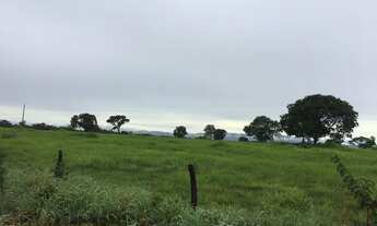 Imagem 5: Vende-se uma excelente fazenda de 610 Alqueires