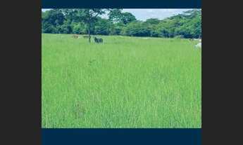 Imagem 2: Vende-se uma fazenda de 143 hectares