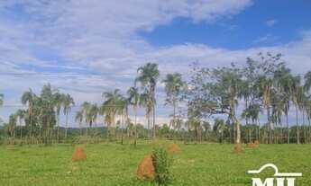 Imagem 6: Fazenda 32 Alqueire (154 Há) Jaraguá - GO
