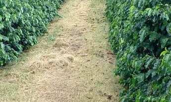 Imagem: FAZENDA - CENTRO - SP