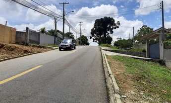 Imagem 7: CURITIBA - Terreno Padrão - Santa Felicidade