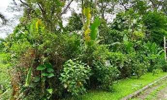 Imagem 2: Terreno à venda, 850 m² por R$ 960.000,00 - Ponta Das Toninhas - Ubatuba/SP