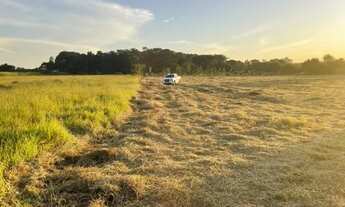 Imagem 7: Chácara Sitio - Lugar lindo com fácil acesso - oportunidade única