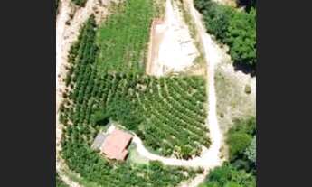 Imagem 7: Chácara perobas ,água .luz,perto patrimônio ,condomínio rural não paga