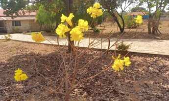 Imagem 6: Chácara 5000m2, Condomínio fechado